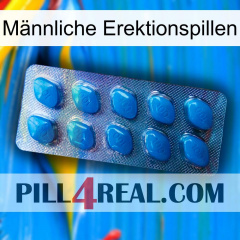 Männliche Erektionspillen viagra1